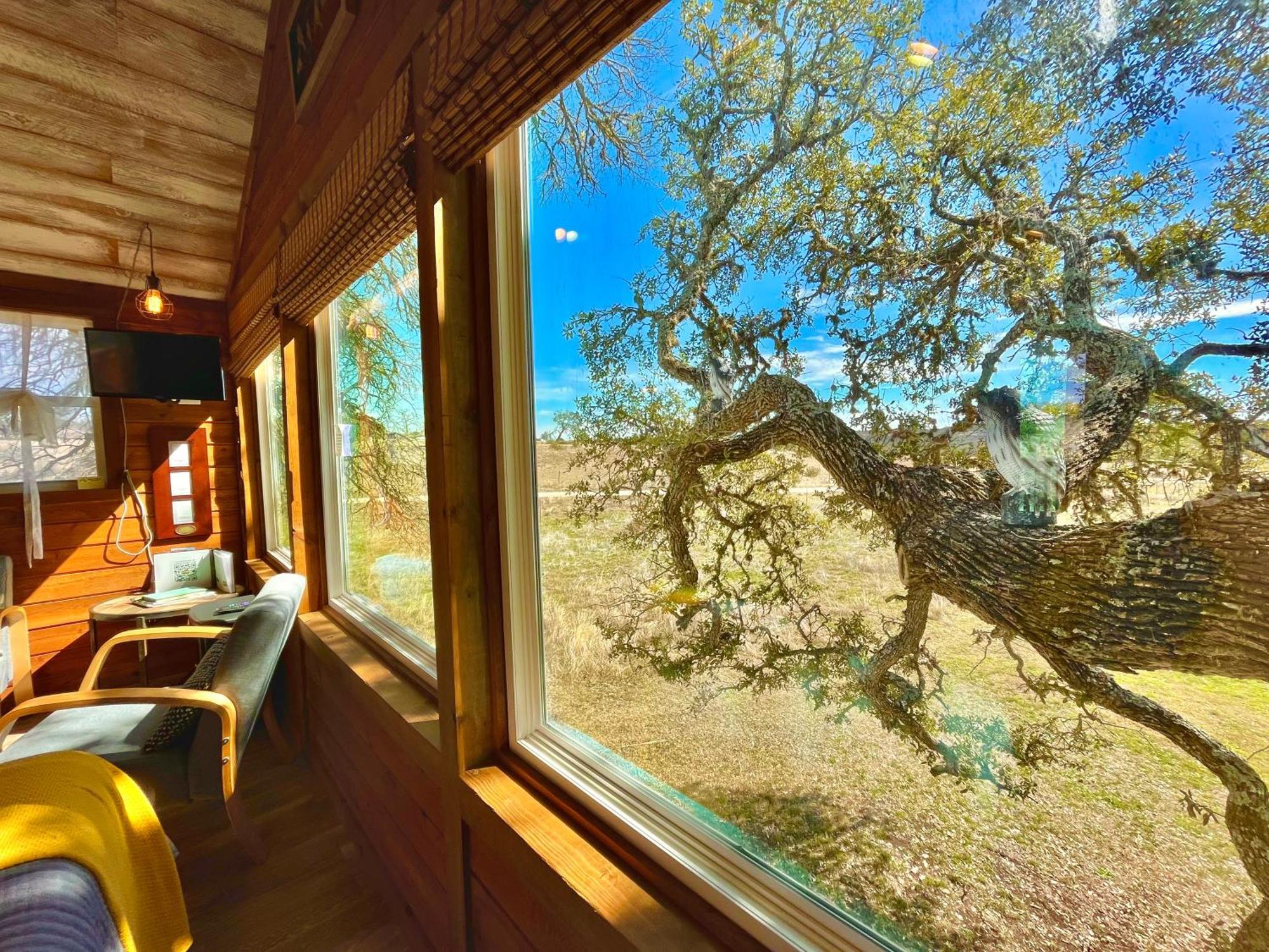 The Alexander At Creek Road Hotel Dripping Springs Bagian luar foto